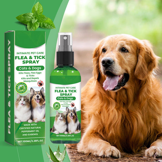 🐶🐱 Természetes bolha- és kullancsirtó spray kutyáknak és macskáknak