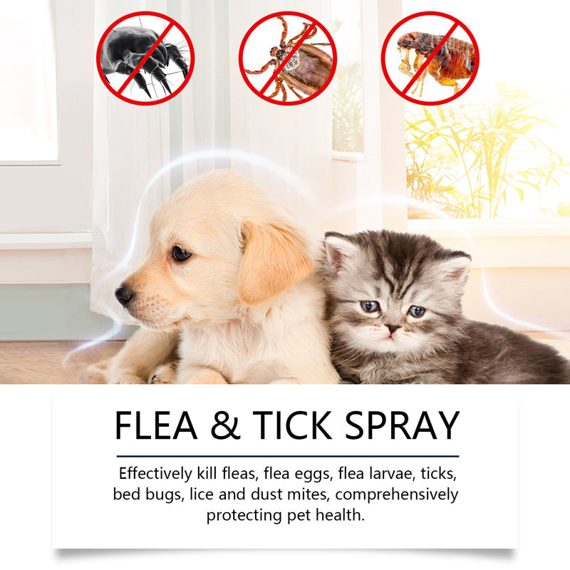 🐶🐱 Természetes bolha- és kullancsirtó spray kutyáknak és macskáknak
