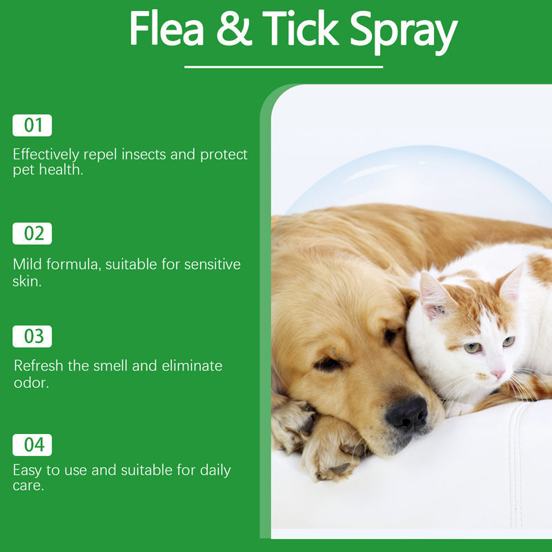🐶🐱 Természetes bolha- és kullancsirtó spray kutyáknak és macskáknak