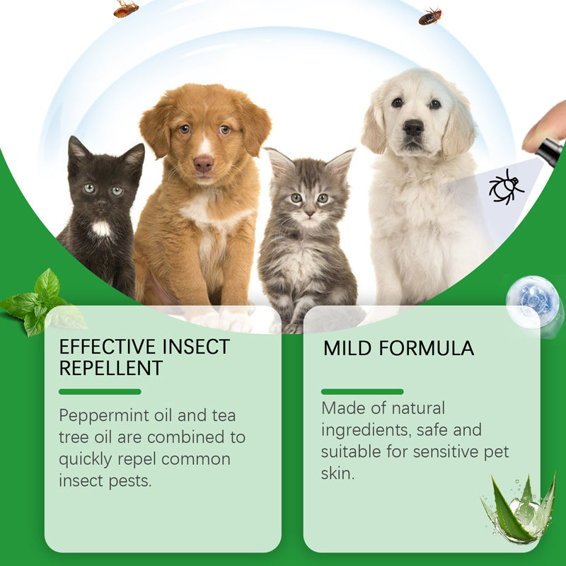 🐶🐱 Természetes bolha- és kullancsirtó spray kutyáknak és macskáknak