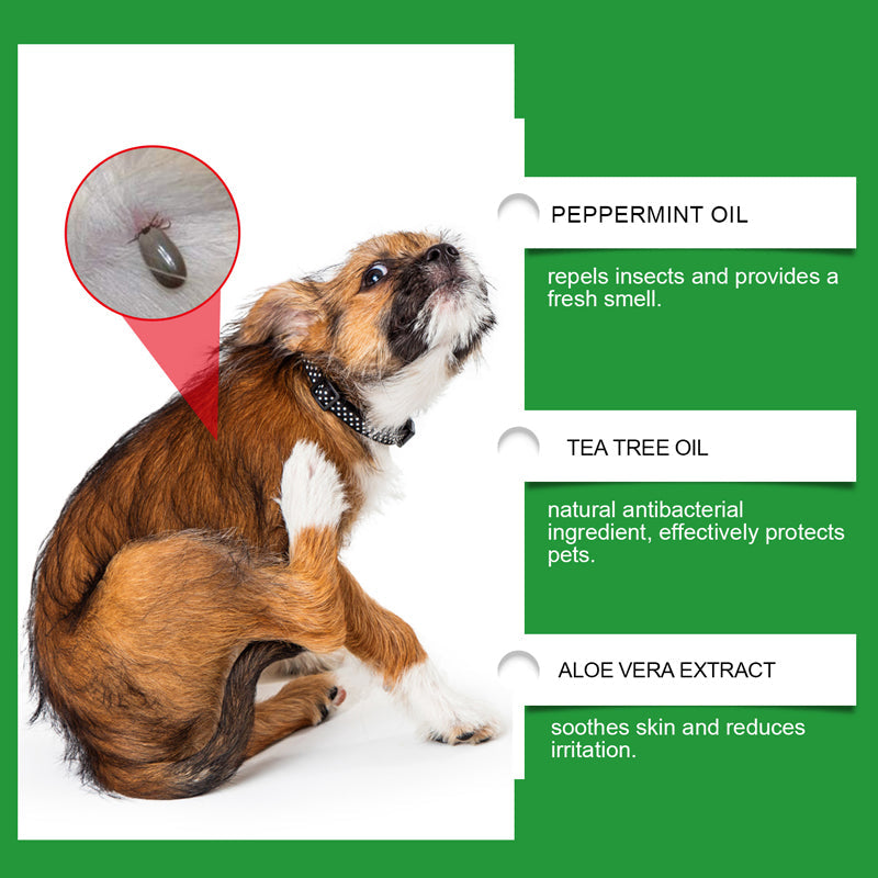🐶🐱 Természetes bolha- és kullancsirtó spray kutyáknak és macskáknak