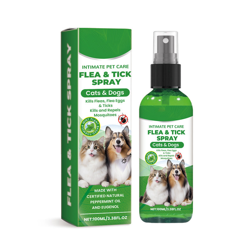 🐶🐱 Természetes bolha- és kullancsirtó spray kutyáknak és macskáknak