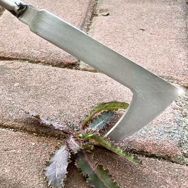🔥Akciós termék🔥Többcélú résgyomláló eszköz, eltávolítja a gyomokat a térkövek közül🌿🛠️