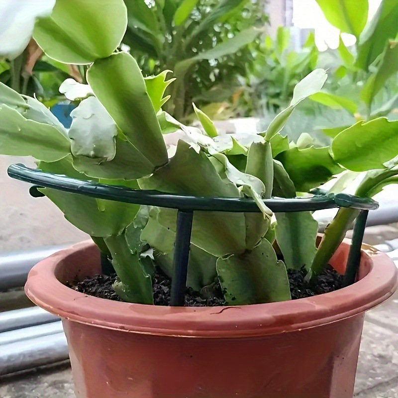 😫🌿 Összekapcsolható növénynevelő gyűrűk 😌