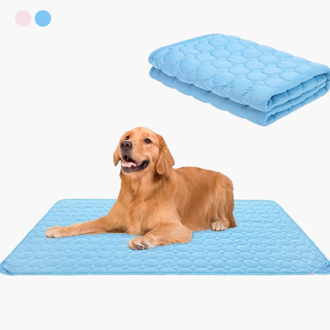 🌞Nyári akció🧊Prémium hűtőszőnyeg háziállatoknak 🐶