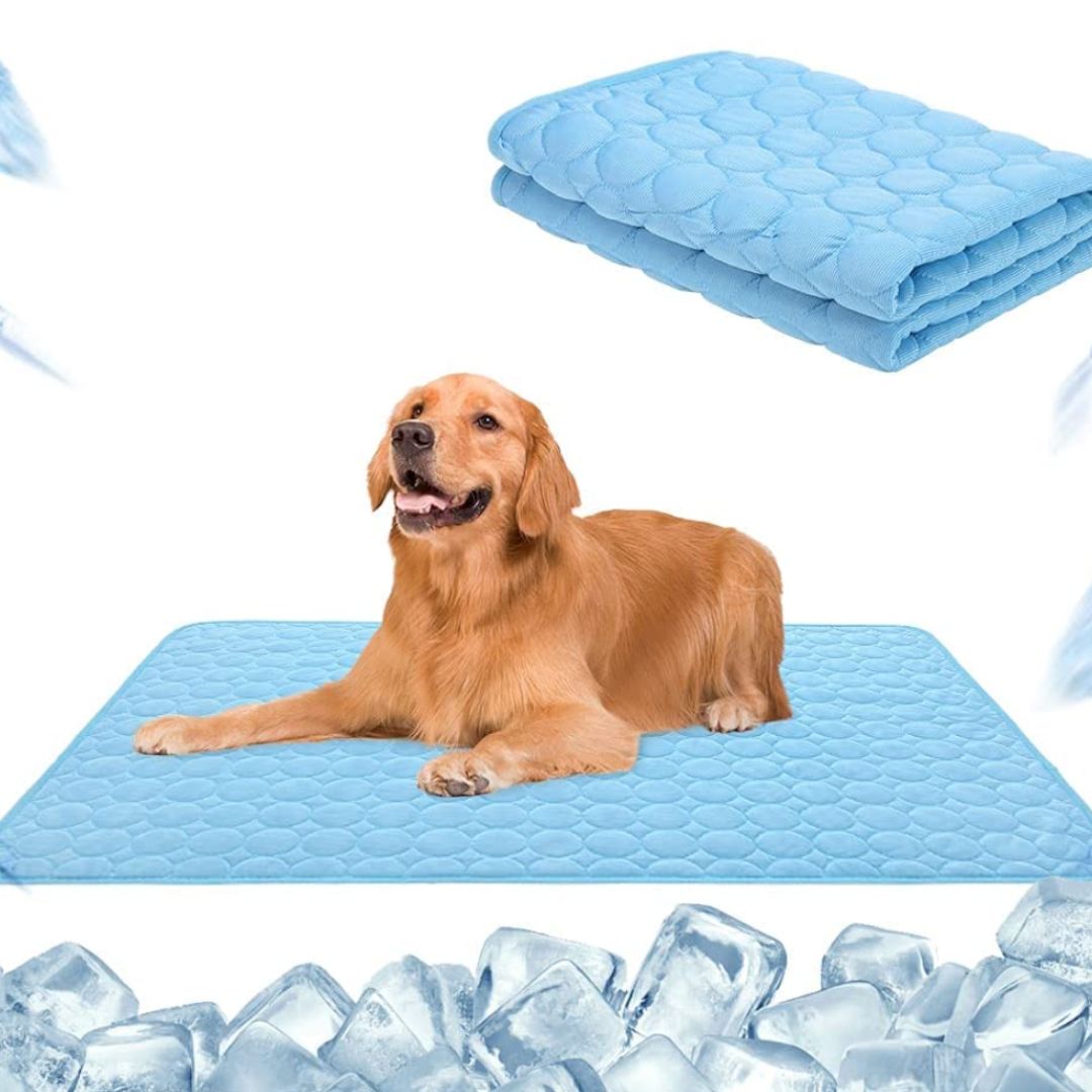 🌞Nyári akció🧊Prémium hűtőszőnyeg háziállatoknak 🐶