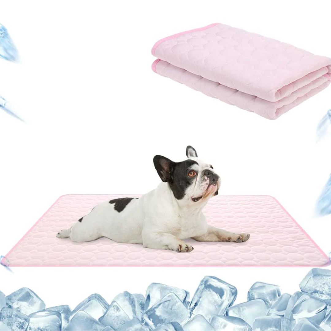 🌞Nyári akció🧊Prémium hűtőszőnyeg háziállatoknak 🐶