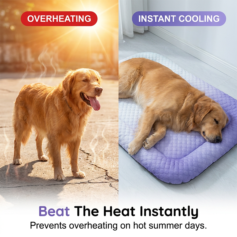 🐶💕 Hűsítő gél alátét kutyáknak és macskáknak – Azonnali lehűlés, kényeztető pihenés és huzatmentes biztonság 🐾❄️