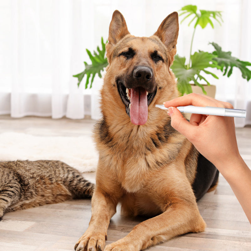 1+2 ingyen🐱Kutyák és macskák számára készült fogkőeltávolító szer✨🦷