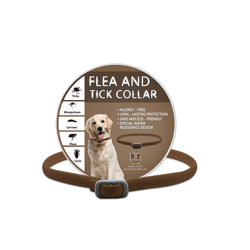 🎉🐶🐱 – Növényi alapú bolha- és kullancsirtó nyakörv 🌿 🐕