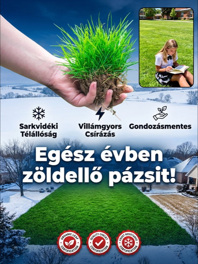 【Csírázási arány 99%】Négyszezonos fagyálló pázsitmag